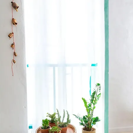 Otel La Cayena & (adults Only) 3*